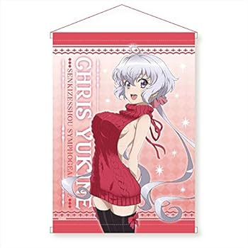 タペストリー Amazon.co.jp: 戦姫絶唱シンフォギアAXZ B2タペストリー 雪音
